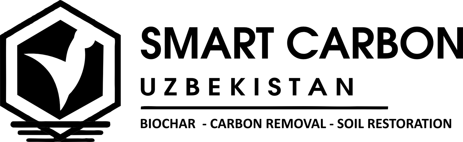 SmartCarbon